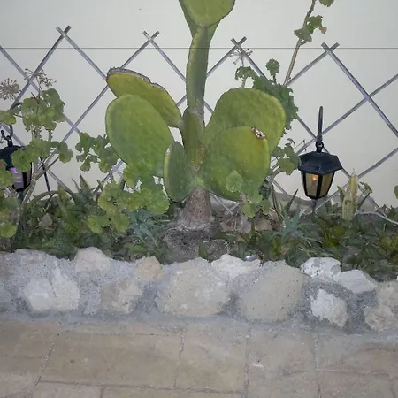 Savva Complex Apartament *